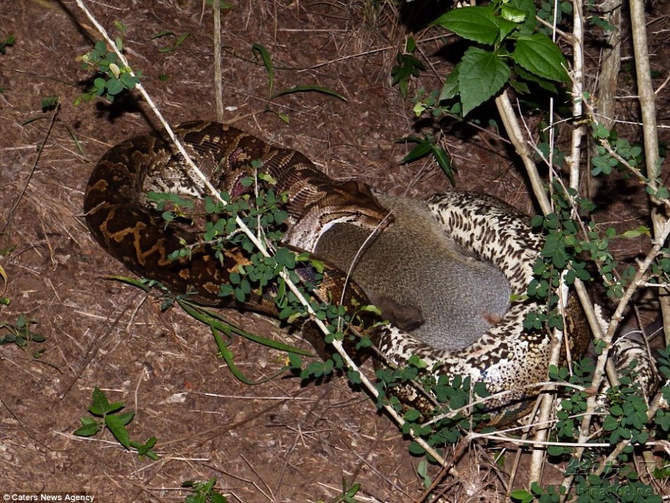 453_76852_318572.jpg