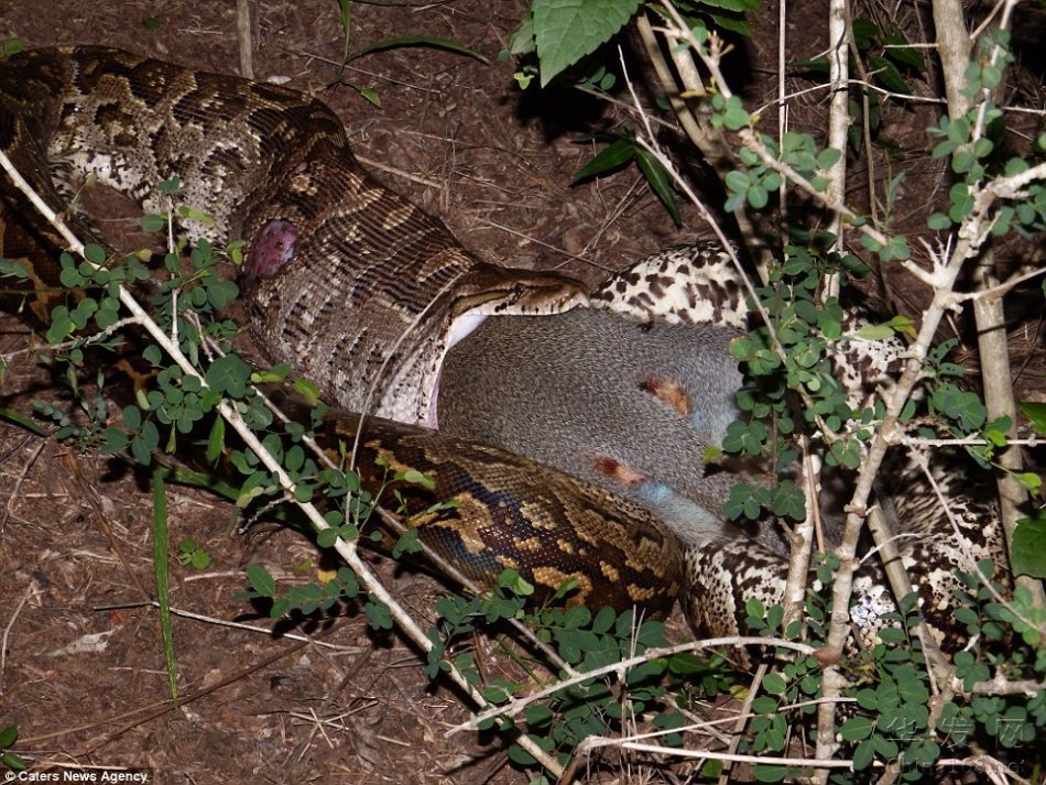 453_76858_344276.jpg
